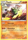 Kapilz aus dem Set XY Fliegende F�uste