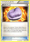 Kieferfossil aus dem Set XY Fliegende F�uste