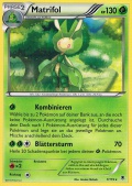 Matrifol aus dem Set XY Phantomkr�fte